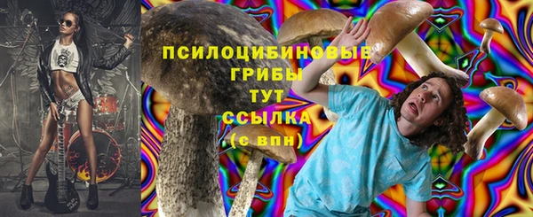 гашик Абдулино