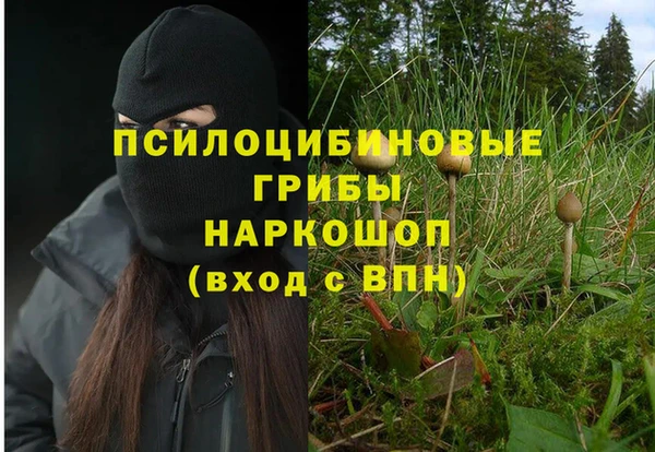 PSILOCYBIN Осинники