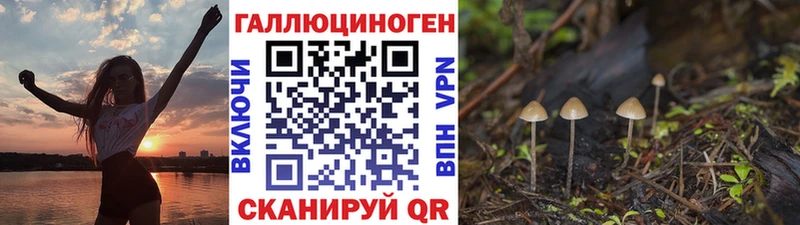 Псилоцибиновые грибы Cubensis Магадан