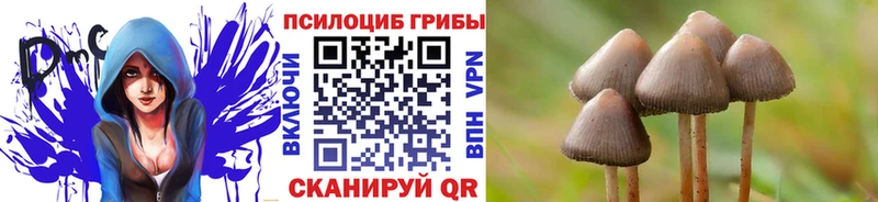 Псилоцибиновые грибы ЛСД  Магадан 